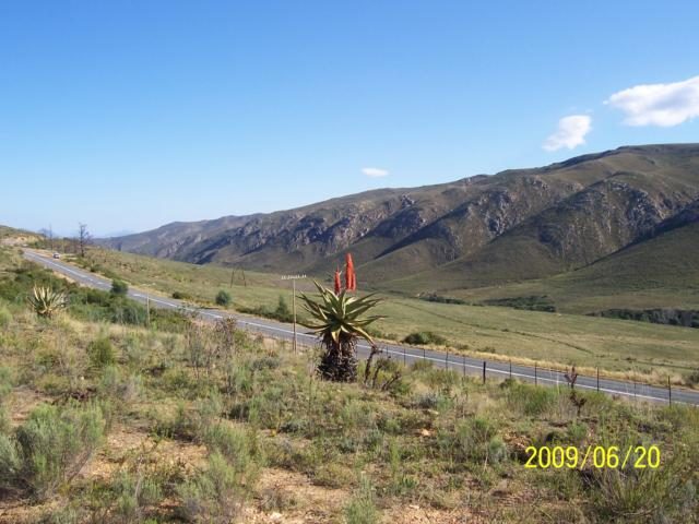 Uitsig oor die plaas se berge en veld